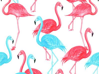 延缓衰老巧克力 (巧克力抗衰老)