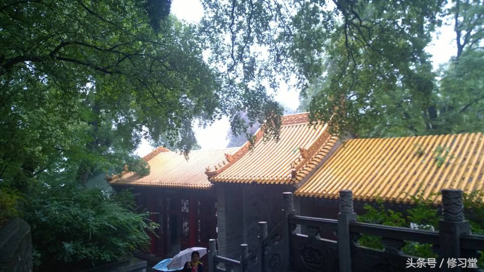 修道之人讲的是修身养生参道悟道,修道养生真诀一书