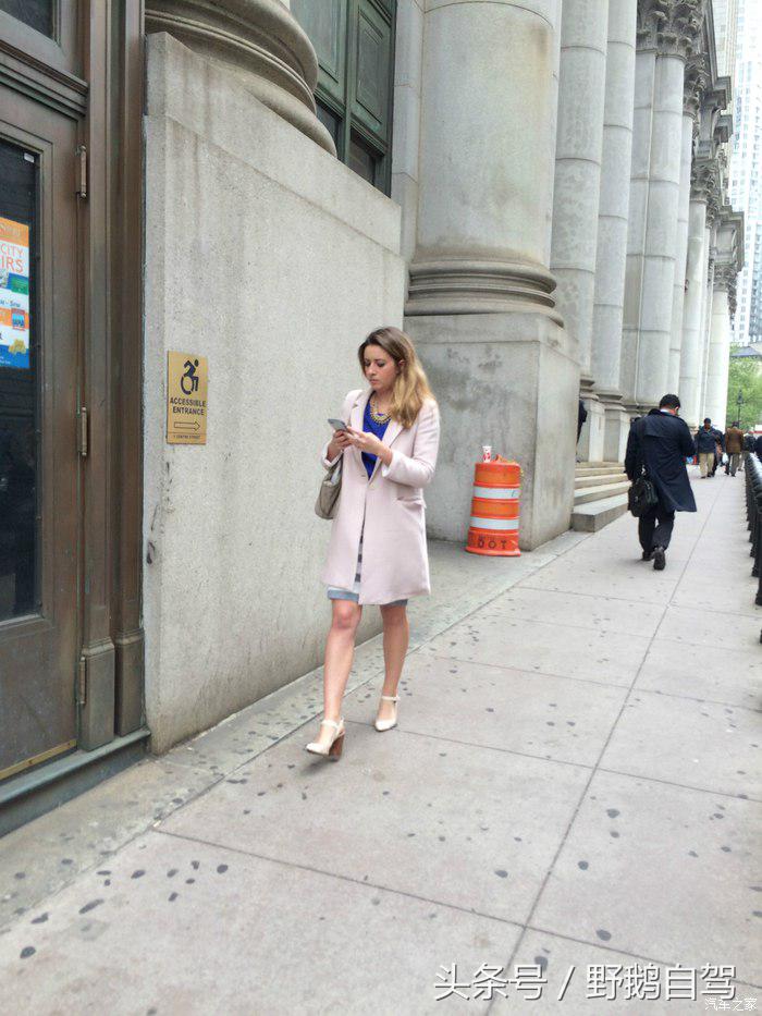 野鹅旅行,野鹅自驾无人区