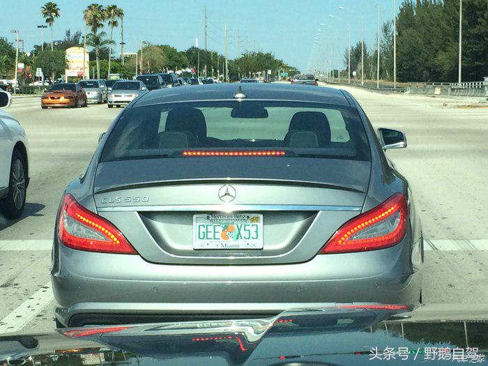 野鹅旅行,野鹅自驾无人区