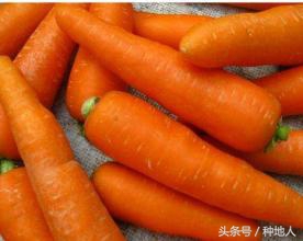 无公害蔬菜怎么治虫子,无公害蔬菜病虫害防治方法