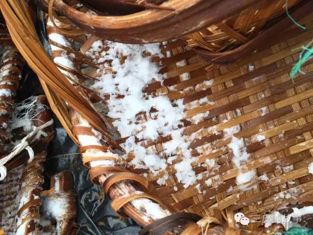 衢山岛自驾游怎么上岛,衢山岛房车自驾游攻略