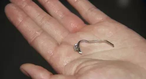 紧急救援戒指卡手,紧急呼救戒指卡手