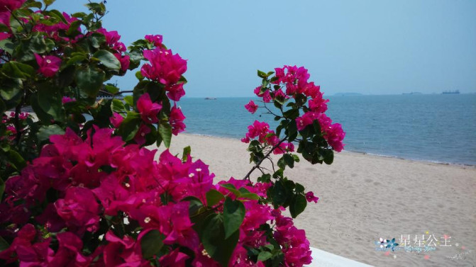 蓝色的厦门之旅，夏天明年再见！