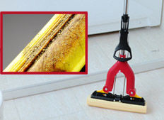 猫咪为什么会掉毛呢及如何清理掉落的猫毛？