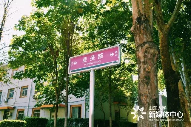 趣谈山大Mr.Road,你的名字从哪儿来？