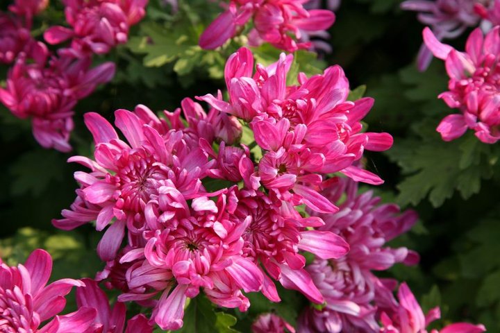 我写一首诗完美地告别九月，打开十月的那扇门