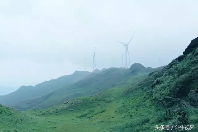 2018年贵州超级牛王争霸赛,2022年贵州牛王争霸赛第一名