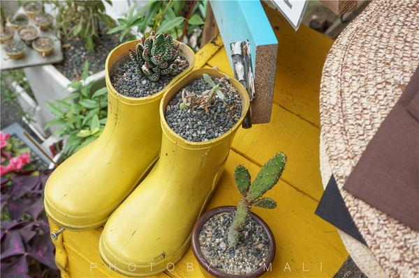 首尔新罗免税店海马380价格,首尔免税店推荐