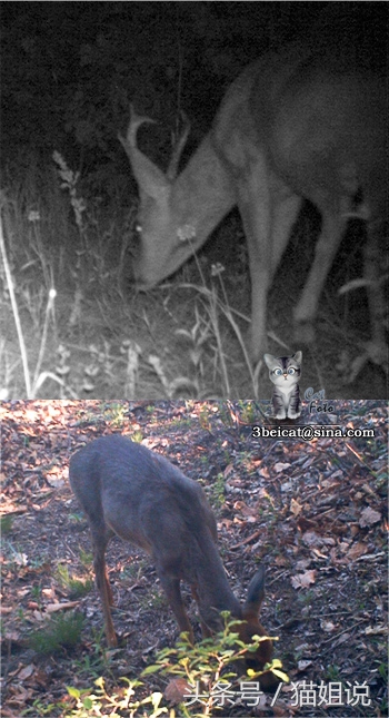 怀柔的北京生活,野性内蒙古