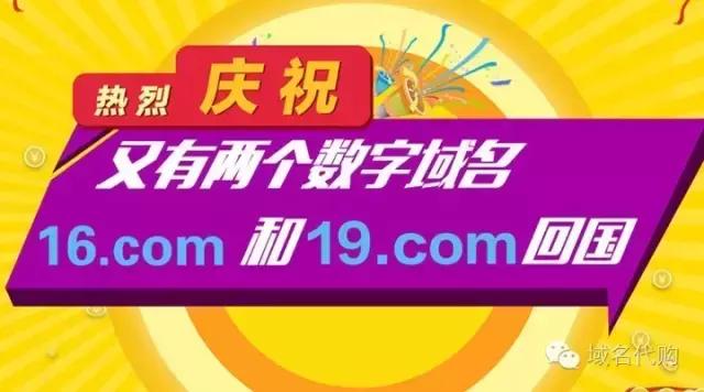 62刘晓生重金打包两数字域名16.com和19.com回国