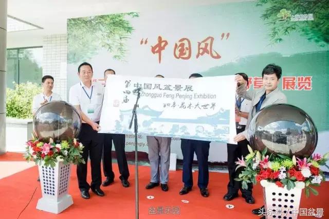 哪些野草适合微型盆景,小品盆景和微型盆景有区别吗