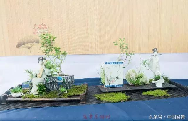 哪些野草适合微型盆景,小品盆景和微型盆景有区别吗