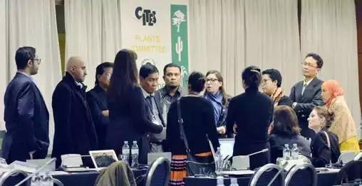 刺猬紫檀和非洲小叶紫檀家具,刺猬紫檀为什么能列入国标