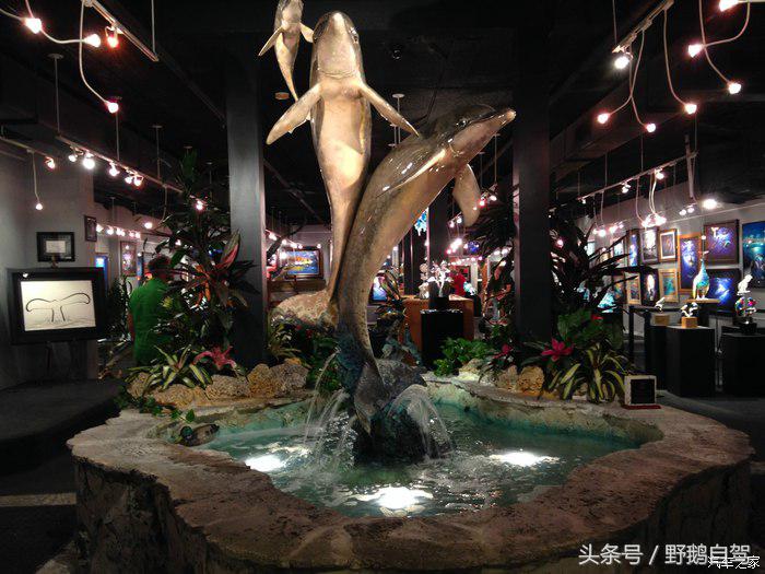 野鹅旅行,野鹅自驾无人区