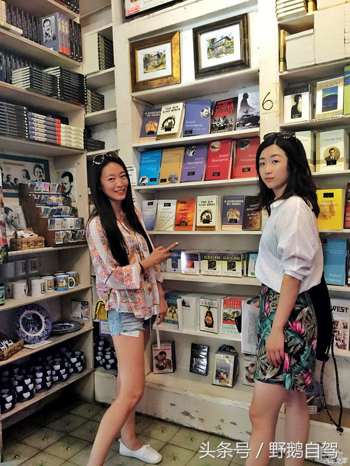 野鹅旅行,野鹅自驾无人区