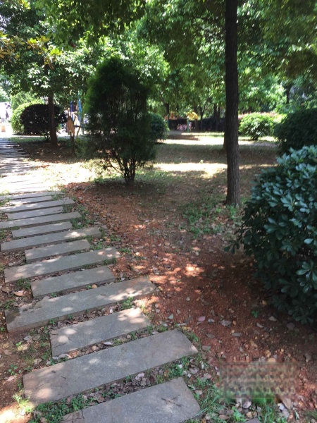 雨花绿荫家园值得买吗,雨花绿荫家园二期