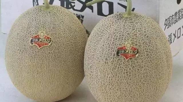 十大土豪水果,土豪水果