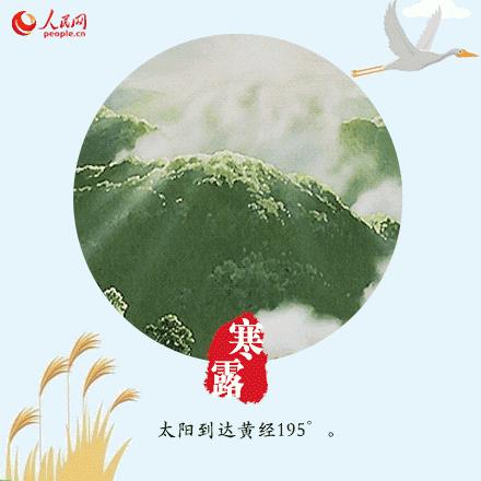 寒露可以露脚吗,寒露不宜露脚的危害