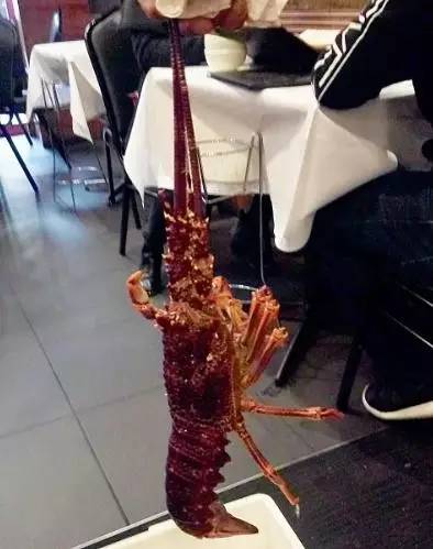 财经主播小崔澳洲行你的UGG很可能买错了