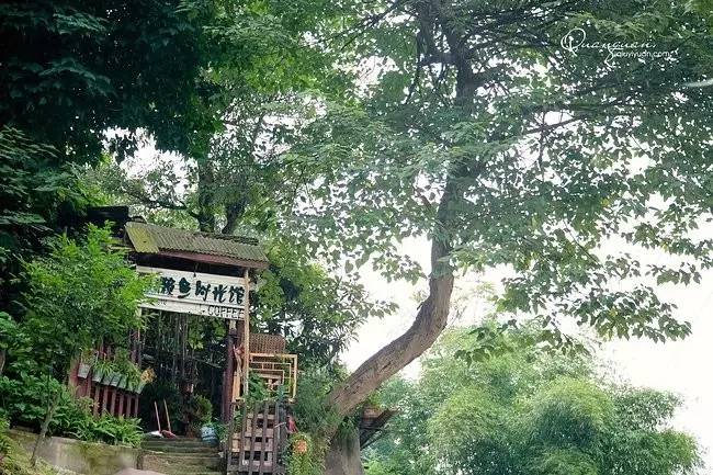 干货|从这些重庆小店路过，瞬间治愈蓝瘦香菇