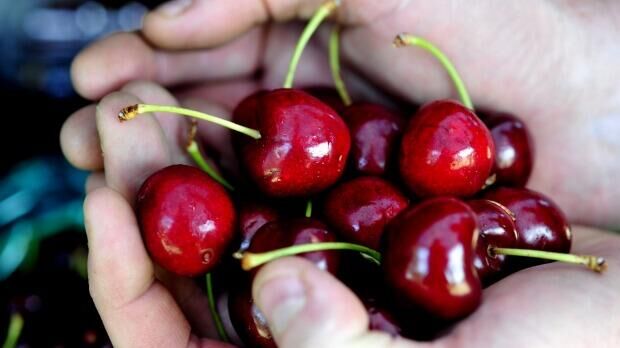 澳媒中国,澳媒报道抢奶粉