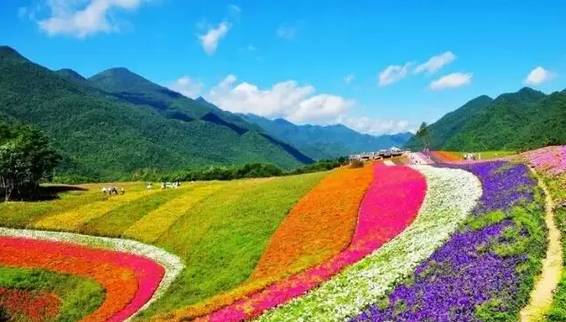 重庆五一小长假旅游推荐 (重庆国庆3天古镇游)