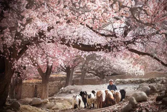 看头条后天就能从克拉玛依坐火车到喀什啦！