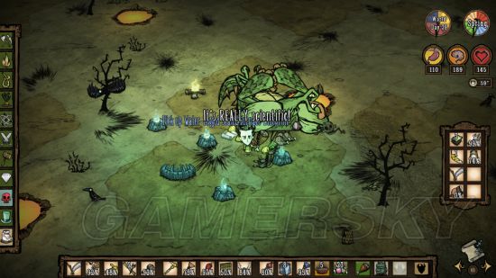 饥荒联机版gawr怎么玩,饥荒联机版ns新手攻略