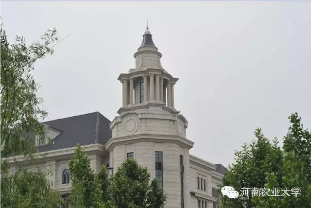 特别策划三分钟过后，农大小石榴马上开挂成老鸟！