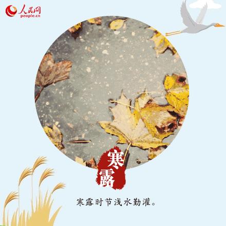 寒露可以露脚吗,寒露不宜露脚的危害