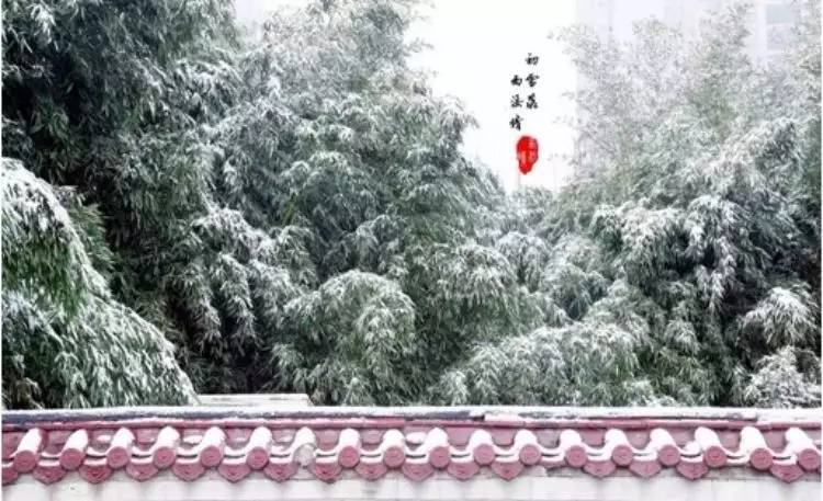 西法大,西法大以后还能评上双一流吗