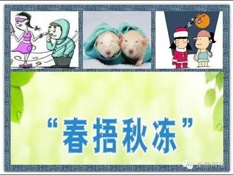 健康霜降,健康立冬