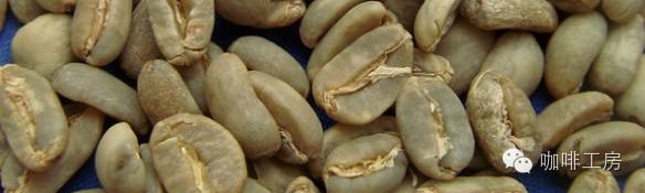 曼特宁和摩卡咖啡区别,鲜咖啡和曼特宁区别