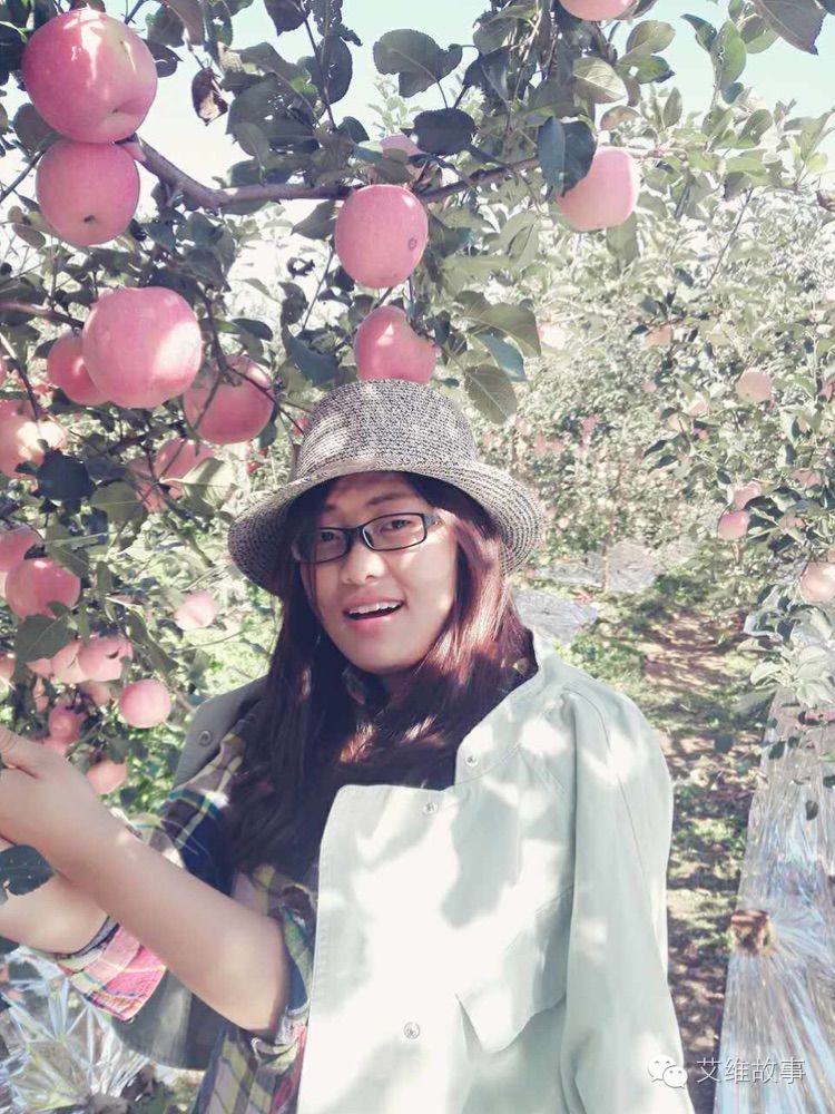 艾维wwoofer之：从艾维的世界路过