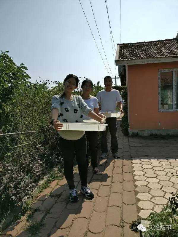 艾维wwoofer之：希望的曙光，为你为我