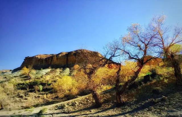 南北大穿越骑行,南北大穿越专题