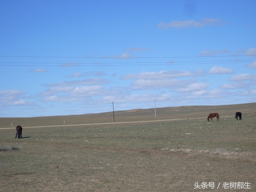 内蒙希拉穆仁草原风景视频,希拉穆仁大草原和内蒙古大草原