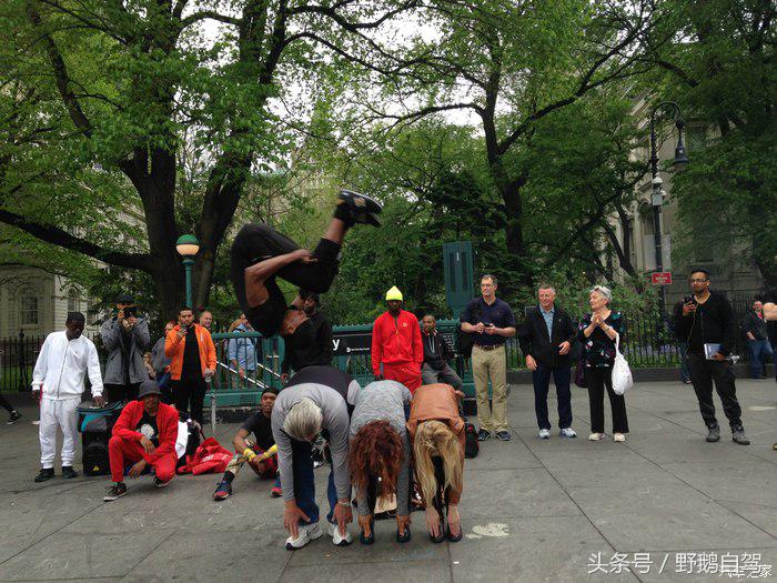 野鹅旅行,野鹅自驾无人区