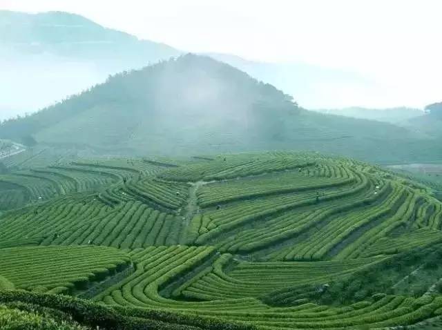 心宿旅舍,民宿推荐来一场说走就走的旅行