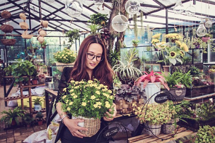向阳的玻璃花房,玻璃花房设计建造