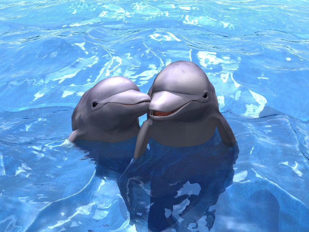 海豚湾罪人啊啊啊太气愤了