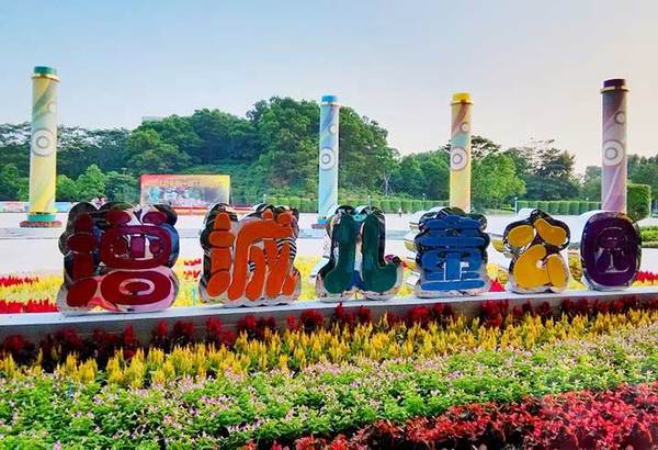 厉害了word哥图片,厉害了word哥视频