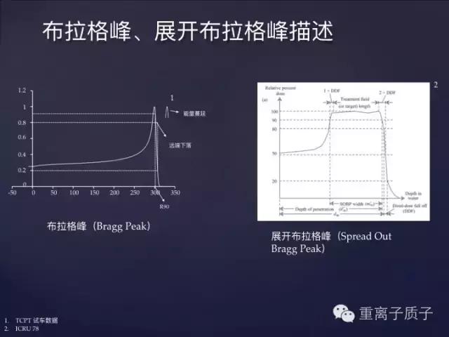 [精品课件]TCPT王鹏:质子治疗的基本物理原理