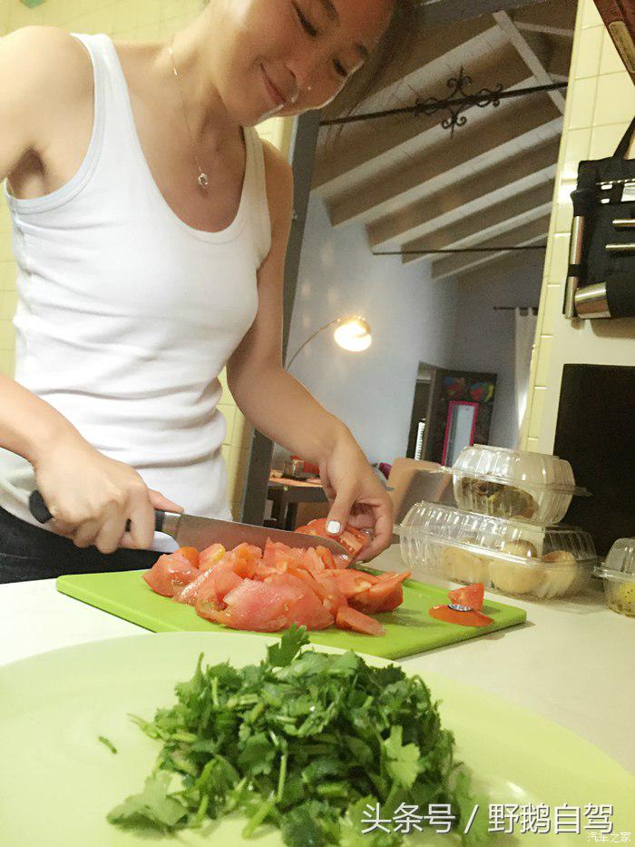 野鹅旅行,野鹅自驾无人区