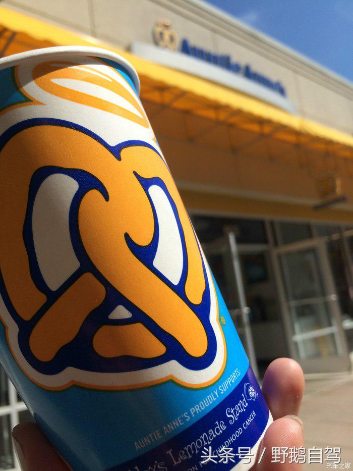 野鹅旅行,野鹅自驾无人区