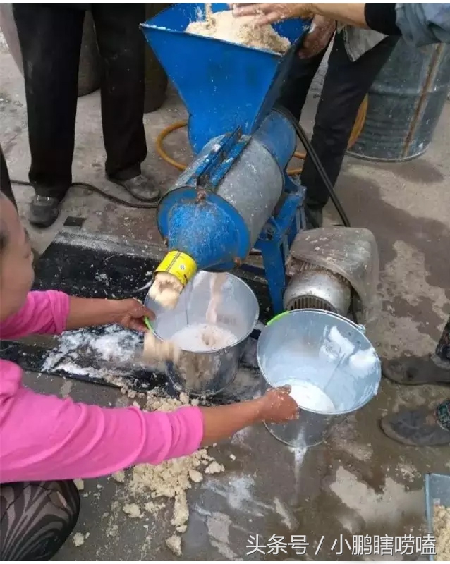土豆粉面的制作过程,土豆粉面制作方法