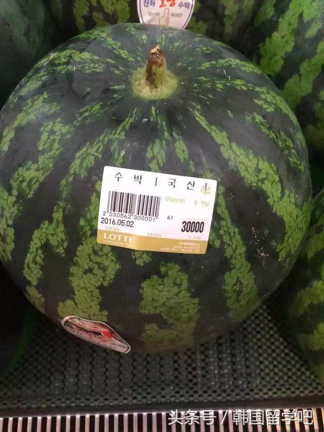 在韩国吃西瓜贵不贵 (韩国平民吃得上西瓜吗)