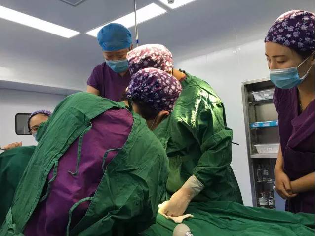 产妇生下双胞胎医生一看震惊了,孕妇身怀五胞胎医生大吃一惊后续