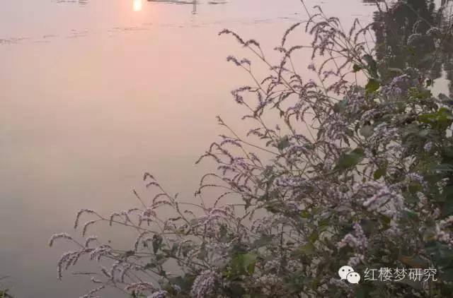 元春为什么离开王熙凤,元春犯了什么错